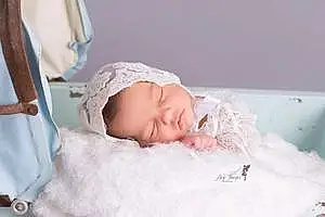 Prénom bébé Cattleya