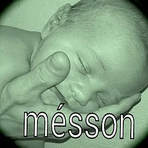Prénom bébé Messon