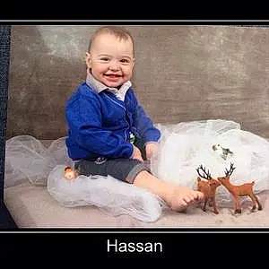 Prénom bébé Hassan