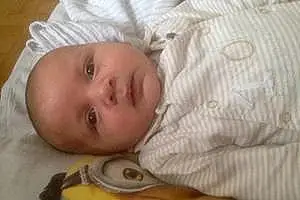Prénom bébé Jibril