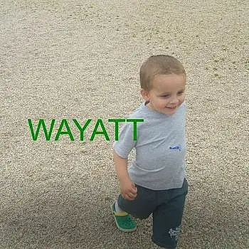 Wayatt