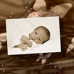 Prénom bébé Rayhan