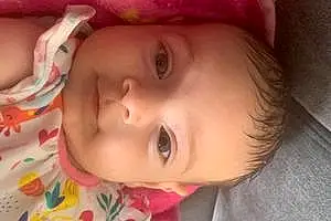 Prénom bébé Safia