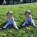 Fleur, Plante, Photograph, Green, People In Nature, Fenêtre, Bleu, Leaf, Natural Environment, Botany, Baby & Toddler Clothing, Happy, Herbe, Yellow, Sunlight, Sneakers, Fun, Baby, Grassland, Bambin, Personne, Headwear