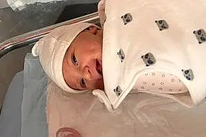 Prénom bébé Melyna