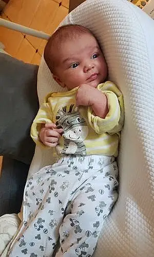 Prénom bébé Giulian
