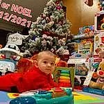 Christmas Tree, Jouets, Bleu, Bambin, Baby, Fun, Shelf, Leisure, Event, Christmas Ornament, Room, Stuffed Toy, Baby Toys, Holiday, Holiday Ornament, Christmas Decoration, Play, Enfant, Personne