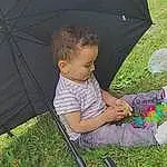 Plante, Herbe, People In Nature, Tent, Shade, Bambin, Fun, Tints And Shades, Leisure, Pelouse, Recreation, Umbrella, Chair, Assis, Camping, Grassland, Enfant, Play, Sandal, Personne