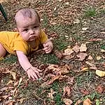 People In Nature, Botany, Bois, Herbe, Bambin, Baby, Adaptation, Deciduous, Baby & Toddler Clothing, Plante, Groundcover, Happy, Arbre, Soil, Enfant, Landscape, Garden, T-shirt, Assis, Automne, Personne