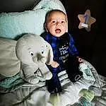 Enfant, Bambin, Baby, Peau, Teddy Bear, Jouets, Room, Photography, Stuffed Toy, Assis, Play, Personne
