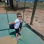 Swing, Vacation, Fun, Recreation, Arbre, Leisure, Outdoor Play Equipment, Play, Personne, Joy