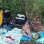 Wilderness, Recreation, Camping, Eau, Pic-Nic, Leisure, Summer, Vacation, State Park, Arbre, Adventure, Jungle, Tent, Style, Personne, Joy