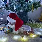 Christmas Ornament, Light, Plante, World, Christmas Tree, Holiday Ornament, Santa Claus, Ornament, Christmas Decoration, Evergreen, Freezing, Event, Jouets, Lawn Ornament, Holiday, Arbre, NoÃ«l, Christmas Eve, Hiver