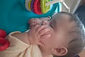 Prénom bébé Alya
