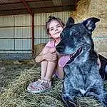 Chien, Carnivore, Faon, Race de chien, Happy, Chien de compagnie, Leisure, Boot, Herbe, Guard Dog, Poil, Fun, Assis, Canidae, Herding Dog, Working Dog, Hay, Recreation, Animal Training, Personne, Joy