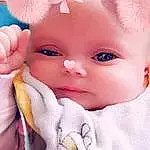 Nez, Joue, Peau, Lip, Chin, Yeux, Eyebrow, Jouets, Textile, Eyelash, Iris, Rose, Headgear, Baby & Toddler Clothing, Baby, Bambin, Enfant, Stuffed Toy, Baby Sleeping