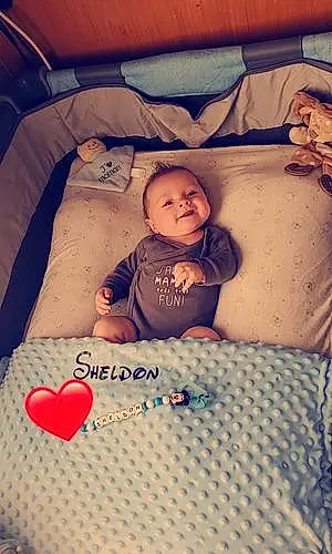 Prénom bébé Sheldon