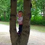 Branch, Enfant, Fun, Fille, Personne, Plante, Play, Recreation, Arbre, Trunk, Vacation, Woodland, Woody Plant