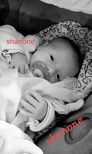 Prénom bébé Shanone
