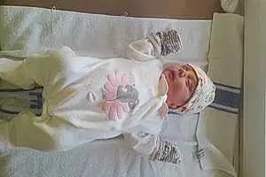 Prénom bébé Abigaëlle
