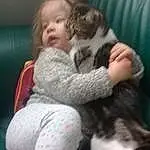 Chat, Peau, Enfant, Hug, Interaction, Carnivore, Canidae, Felidae, Chien de compagnie, Chiots, Chiot d’amour, Race de chien, Small To Medium-sized Cats, Chatons, Lap, Bambin, Baby, Personne