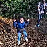 People In Nature, Swing, Plante, Herbe, Woody Plant, Bambin, Leisure, Recreation, Aire de jeux, Jacket, Electric Blue, Arbre, Outdoor Play Equipment, Fun, Soil, Woodland, City, Enfant, ForÃªt, Play, Personne, Joy