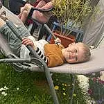 Plante, Comfort, People In Nature, Herbe, Fleur, Arbre, Leisure, Fun, Baby, Bambin, Chair, Pelouse, Baby Carriage, Baby Products, Enfant, Shorts, Assis, Recreation, Human Leg, Swing, Personne, Joy