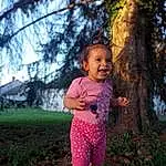 Plante, People In Nature, Leaf, Sourire, Arbre, Ciel, Happy, Flash Photography, Herbe, Bambin, Woody Plant, Leisure, Trunk, Magenta, Fun, ForÃªt, Enfant, Recreation, Assis, Baby, Personne