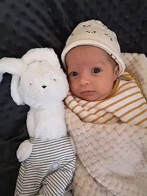 Prénom bébé Iliano