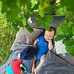 Plante, People In Nature, Leaf, Happy, Arbre, Herbe, Chapi Chapo, Electric Blue, Leisure, Jouets, Bambin, Flowering Plant, Enfant, Fun, Assis, Stuffed Toy, Grapevine Family, Garden, Vitis, Play, Personne