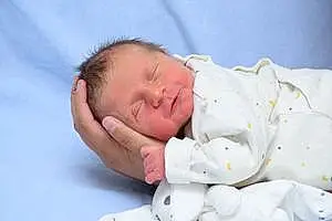 Prénom bébé Nélya
