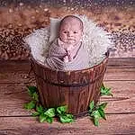 Plante, Bois, Flash Photography, People In Nature, Lighting, Herbe, Happy, Baby, Bambin, Arbre, Hardwood, Baby Products, Assis, Basket, Still Life Photography, Chair, Portrait Photography, Enfant, Leisure, Personne