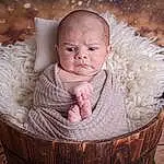 Joue, Head, Yeux, Flash Photography, Bois, Happy, Baby & Toddler Clothing, Baby, Bambin, Herbe, Comfort, Plante, Assis, Enfant, Basket, People In Nature, Portrait Photography, Arbre, Poil, Hiver, Personne