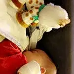Eyelash, Gesture, Petal, Glove, Happy, Jouets, Doll, Wrist, Nail, Human Leg, Fashion Accessory, Stuffed Toy, Carmine, Jewellery, Font, Cut Flowers, Sweetness, Poil, Teddy Bear, Illustration