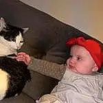 Chat, Comfort, Felidae, Lap, Carnivore, Small To Medium-sized Cats, Couch, Baby & Toddler Clothing, Moustaches, Baby, Queue, Bambin, Museau, Patte, Domestic Short-haired Cat, Assis, Poil, Chien de compagnie, Room, Canidae, Personne, Headwear