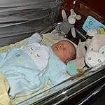 Infant Bed, Comfort, Baby Safety, Hospital Bed, Baby, Bambin, Health Care, Medical, Medical Equipment, Hospital, Bed, Enfant, Baby Products, Baby & Toddler Clothing, Bedtime, Event, Accouchement, Sieste, Room, Service, Personne