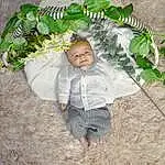 VÃªtements dâ€™extÃ©rieur, Leaf, Branch, Sleeve, Herbe, Baby & Toddler Clothing, Happy, People In Nature, Bambin, Terrestrial Plant, Twig, Baby, Pattern, Fun, Plante, Enfant, Fashion Accessory, Personne, Headwear