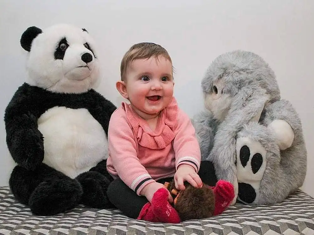 Nez, Sourire, Facial Expression, Jouets, Blanc, Panda, Textile, Comfort, Interaction, Rose, Happy, Carnivore, Museau, Stuffed Toy, Teddy Bear, Peluches, Fun, Poil, Terrestrial Animal, Personne, Joy