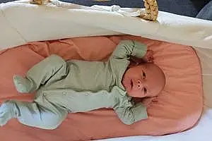 Prénom bébé Elie