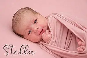 Prénom bébé Stella