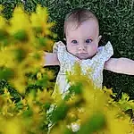 Plante, Yeux, Facial Expression, People In Nature, Leaf, Natural Environment, Baby & Toddler Clothing, Happy, Iris, Debout, Baby, Herbe, Yellow, Bambin, Meadow, Enfant, Arbre, Natural Landscape, Grassland, Personne