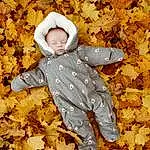 People In Nature, Sleeve, Baby & Toddler Clothing, Bambin, Deciduous, Tints And Shades, Baby, Happy, Comfort, Herbe, Pattern, Enfant, Linens, Automne, Soil, Play, Portrait Photography, Fun, Personne