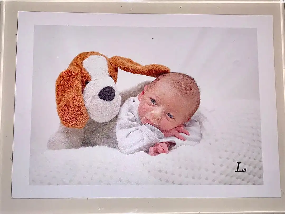 Picture Frame, Chien, Art, Faon, Baby, Bambin, Baby & Toddler Clothing, Chien de compagnie, Rectangle, Illustration, Jouets, Happy, Room, Stuffed Toy, Comfort, Enfant, Visual Arts, Painting, Portrait Photography, Personne