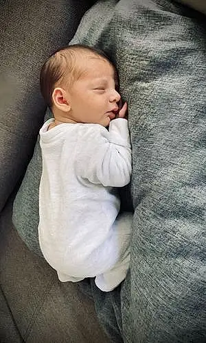 Prénom bébé Raphael