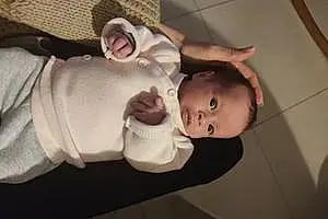 Prénom bébé Lilas