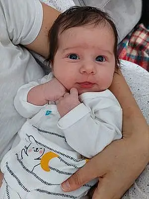Prénom bébé Iris