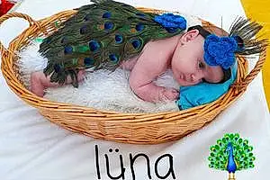 Prénom bébé Lüna